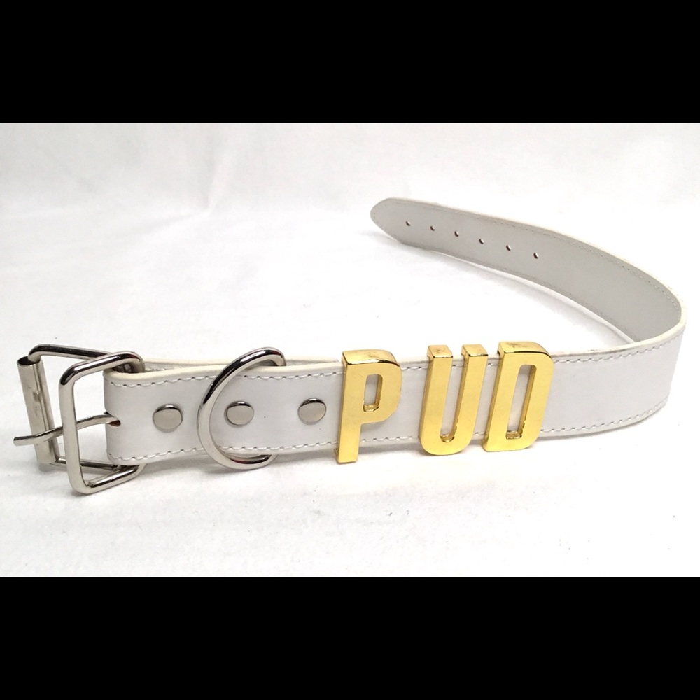 💎White Dog Collar Faux Leather With Metallic Letters Spelling PUD